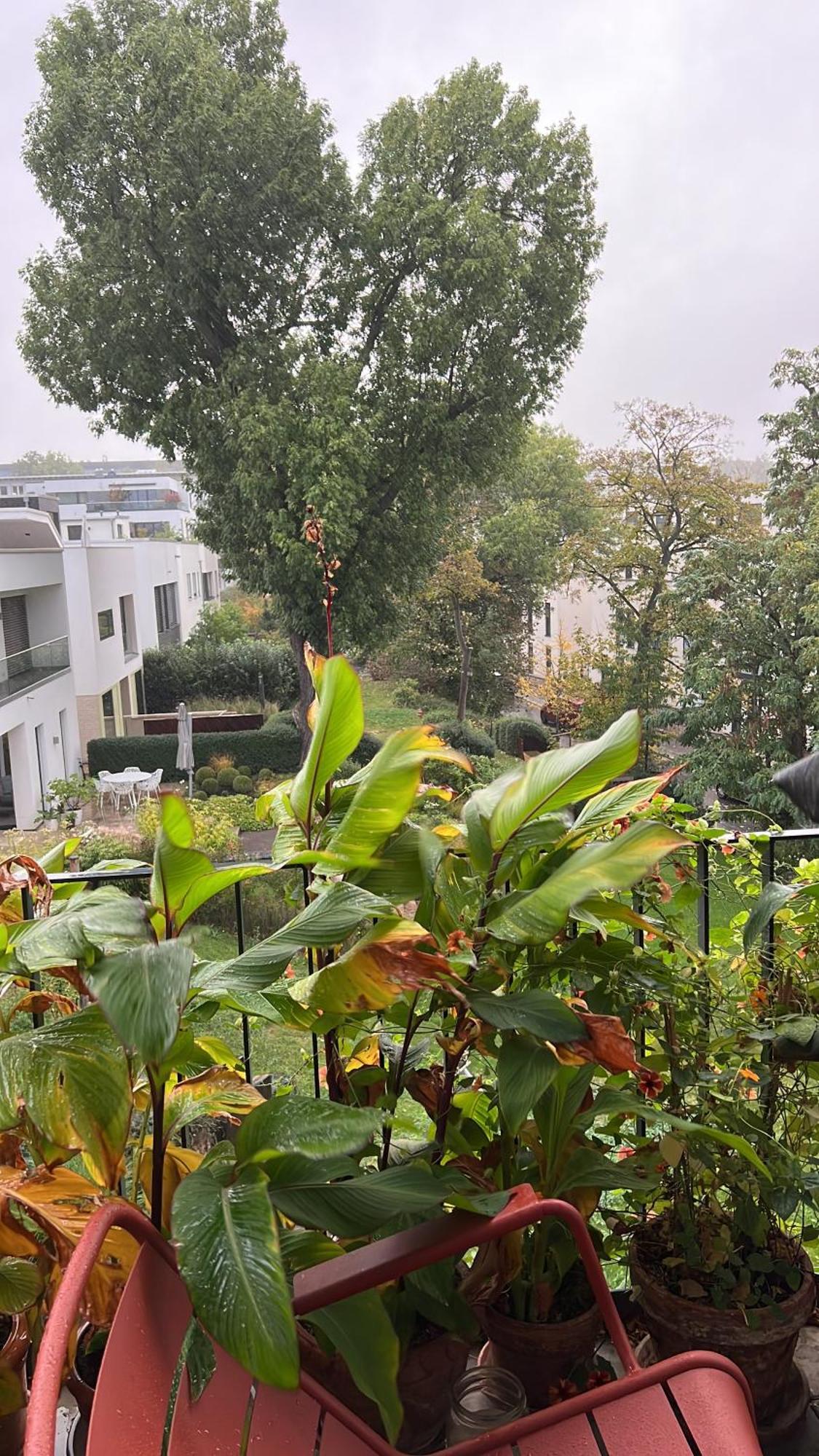 Barbarossa Suite Erfurt Bagian luar foto